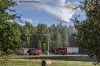 Legnica: Groźny pożar lasu pod Kawicami