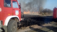 OSP Przemków: Łężce spaliło się 150 ha nieużytków.