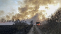 OSP Przemków: Karpie, spłonęło 40 ha nieużytków
