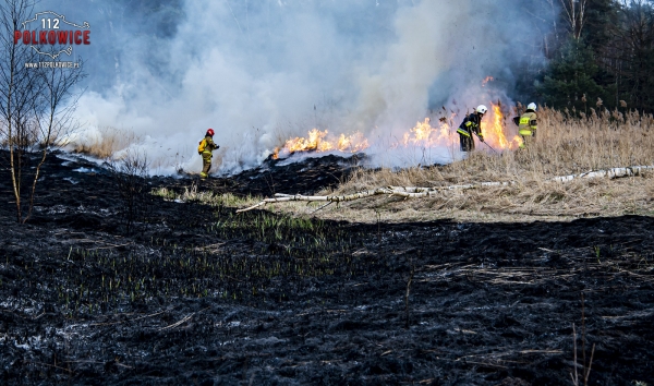 Pożar 1 ha traw w Nowej Wsi Lubińskiej